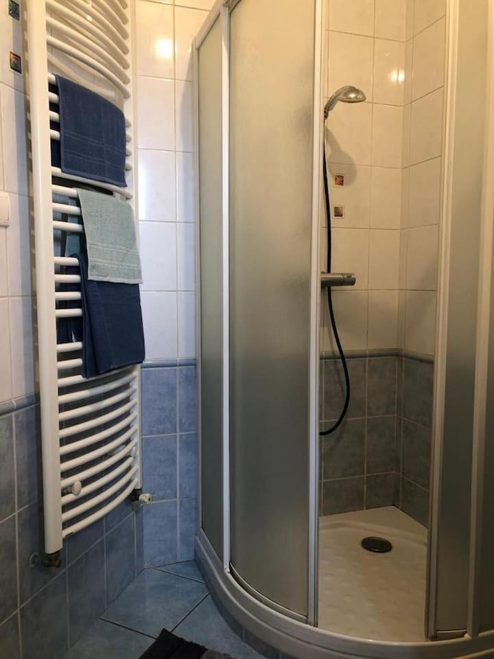Appartement Cosy サン・テティエンヌ エクステリア 写真